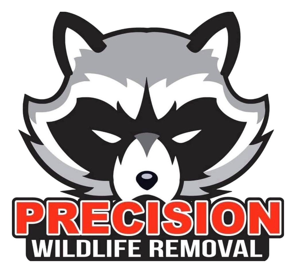 Precision Wildlife Removal